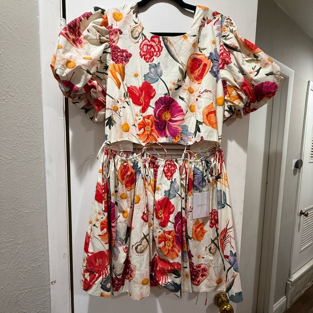 Allina Liu Runway Dress- XL
